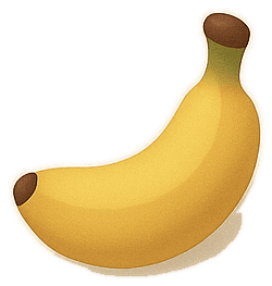 Fruit